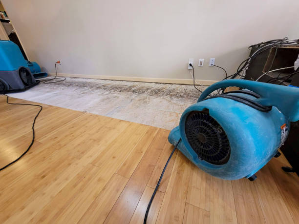 Professional Water Damage Repair technician working in Alexandria, OH